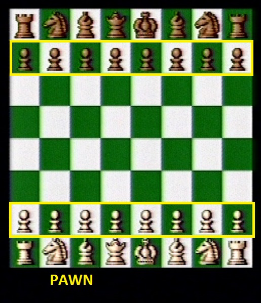 Beginning pawn positions